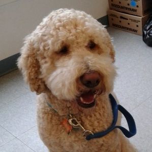 Meet your Posher, Cindy